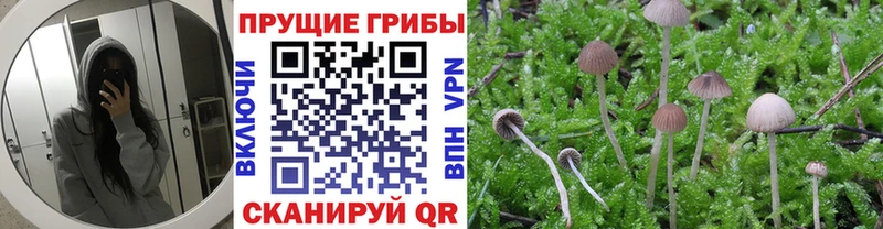 Псилоцибиновые грибы GOLDEN TEACHER  Сухой Лог 